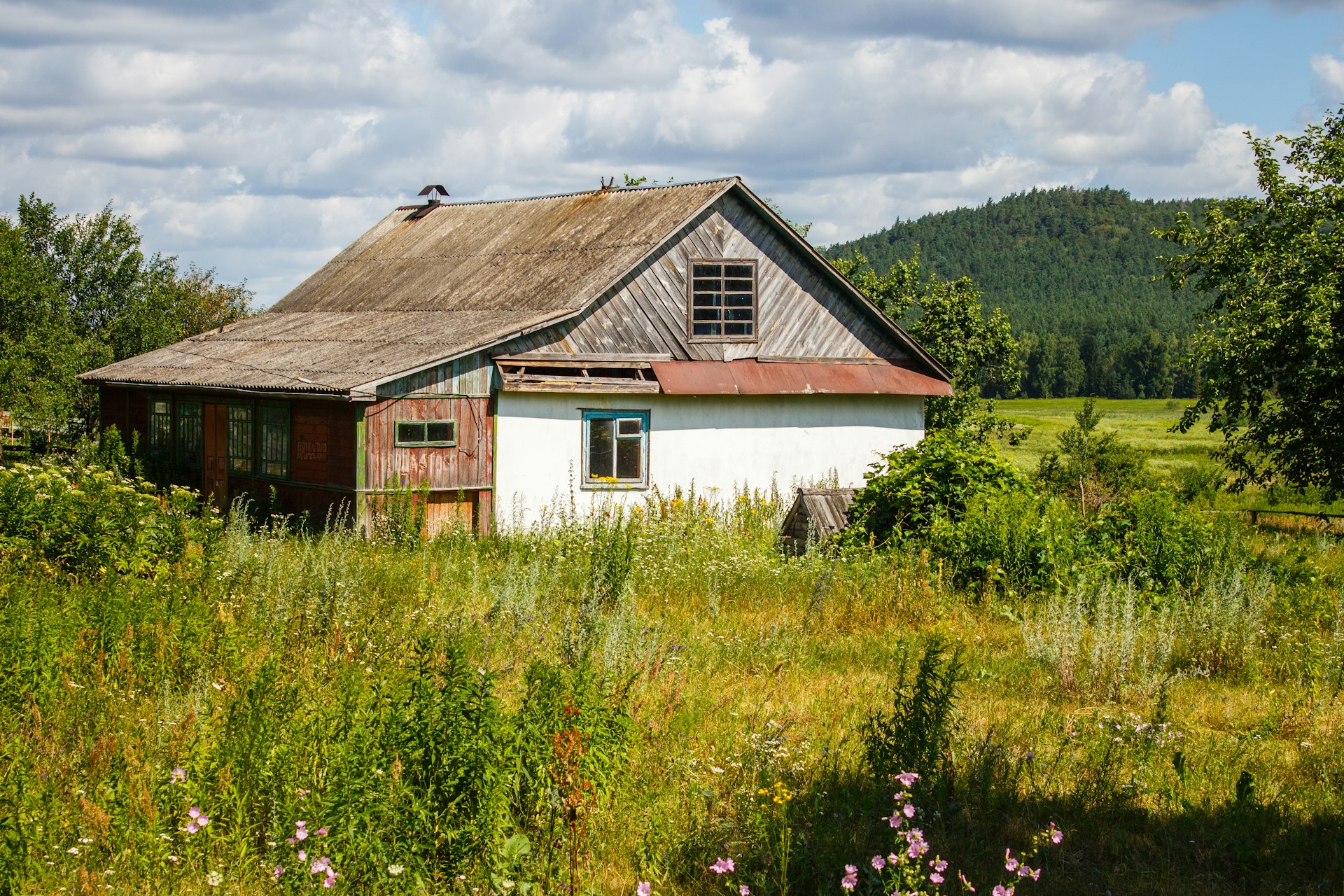 Building a Self-Sufficiency Lifestyle Through Modern Homesteading