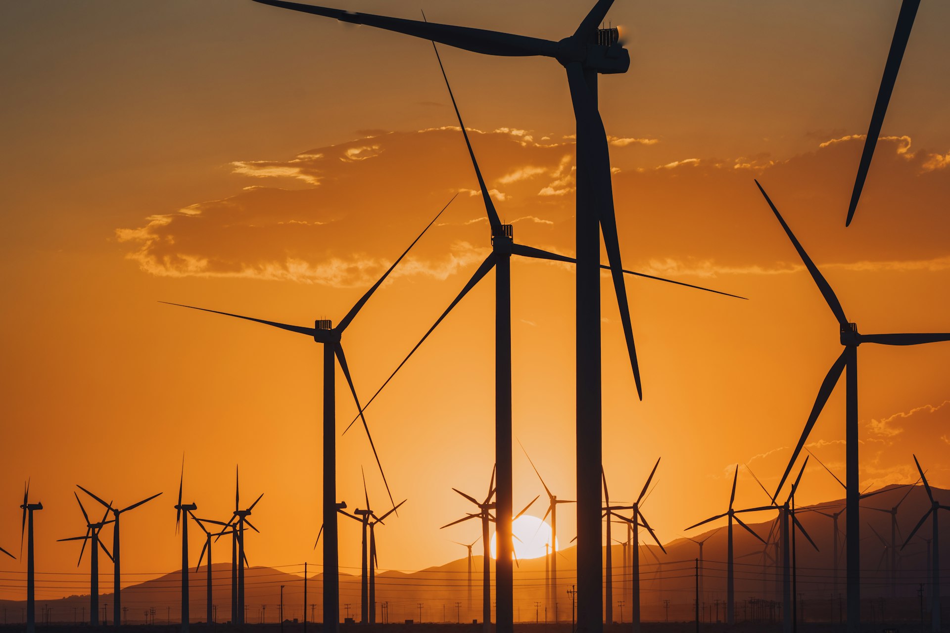 How Green Bonds Are Shaping the Future of Climate Finance